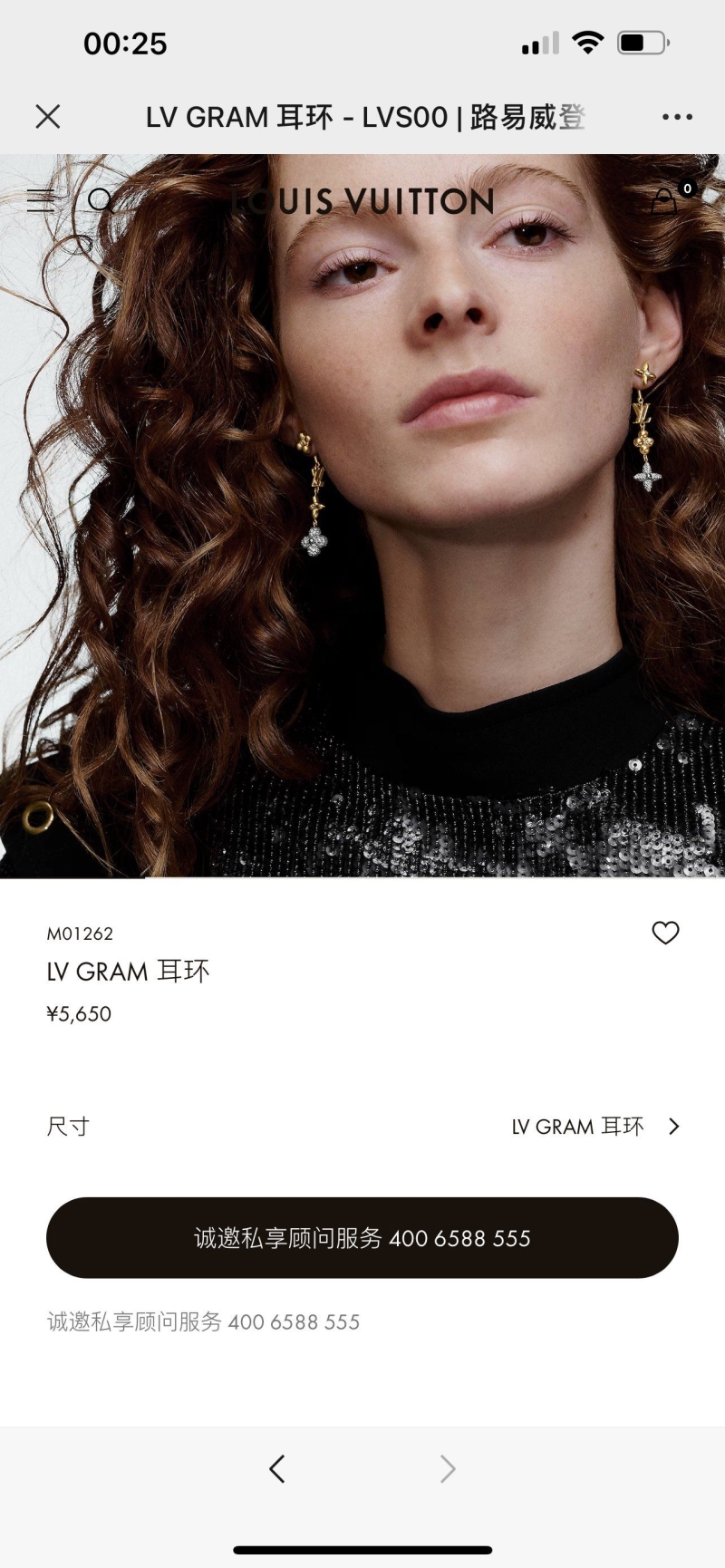 LV Earrings